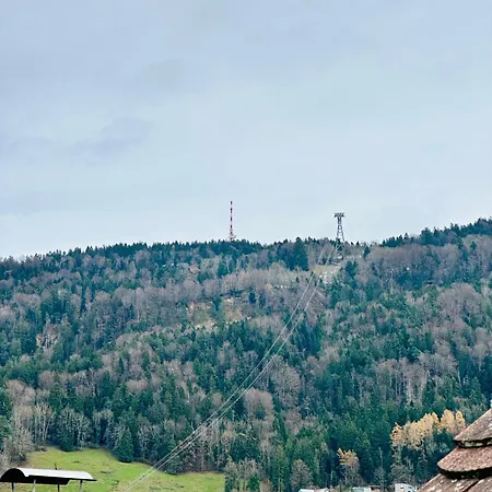 Apartament Zentrale Mit Dachterasse Bregencja